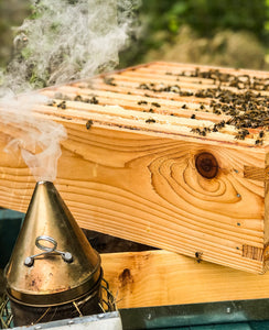 Suffolk Beekeeping Experience