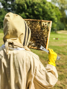 Suffolk Beekeeping Experience
