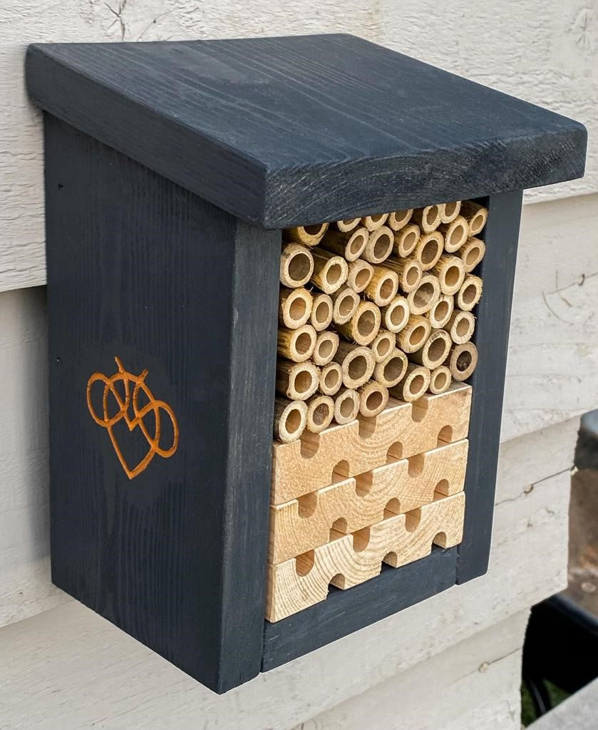 Beta Bee Hotel